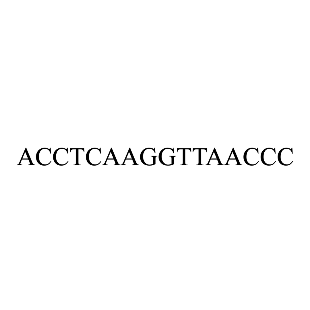 Nucleotides